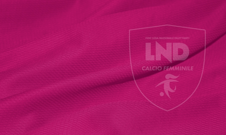 Calcio Femminile: le Finali in diretta streaming sul canale YouTube della Lega Nazionale Dilettanti 